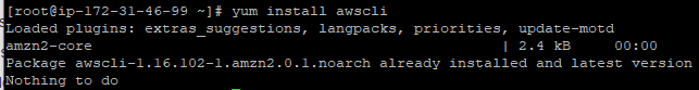 aws cli2