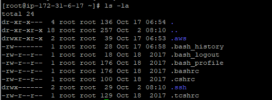 aws cli4