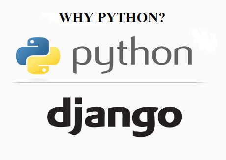 Why do people prefer Python